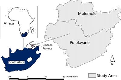 Gendered (SDG5) and other perspectives on COVID-19 vaccination status: a focus on South Africa's Limpopo province